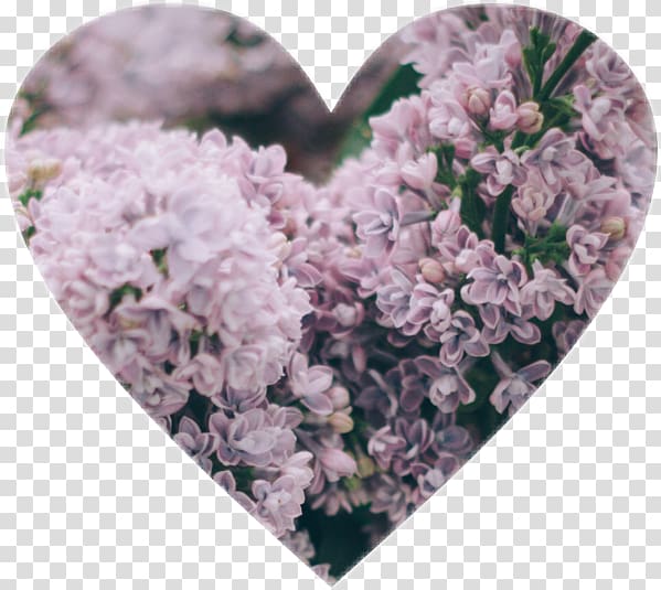 Wedding Blog Flower, heart crown picsart transparent background PNG clipart