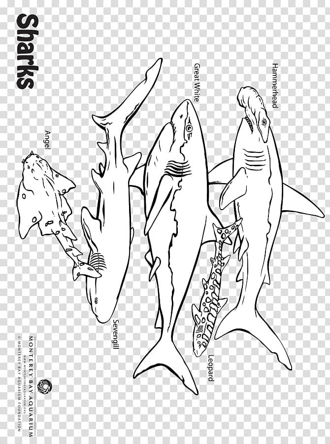Sketch Finger Illustration Line art Drawing, Sea Anemones transparent background PNG clipart