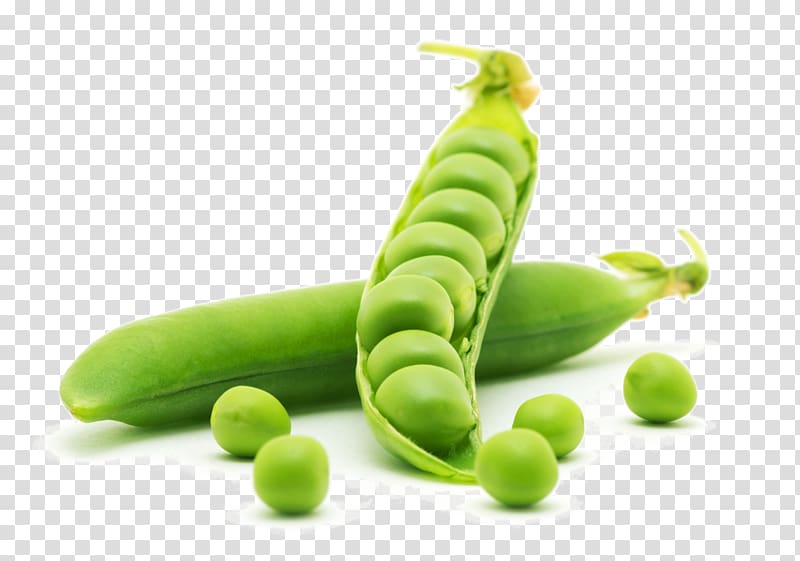 Dal Pea protein Vegetable Food, Fine peas transparent background PNG clipart