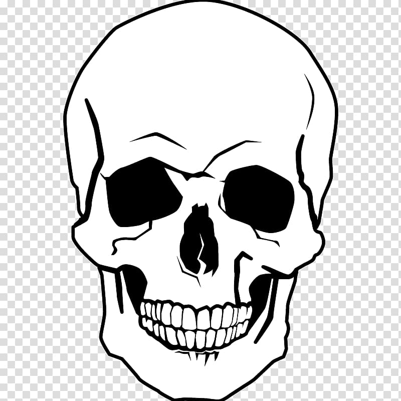 Drawing Human skull Coloring book Skull and crossbones, skull ...