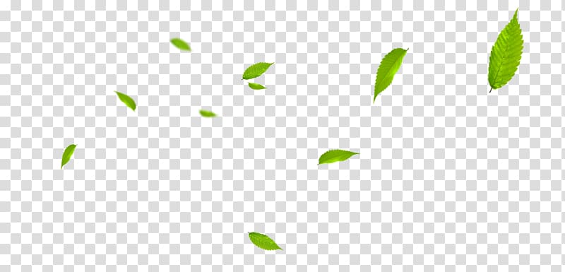 green leaves , Green Pattern, Floating leaves transparent background PNG clipart