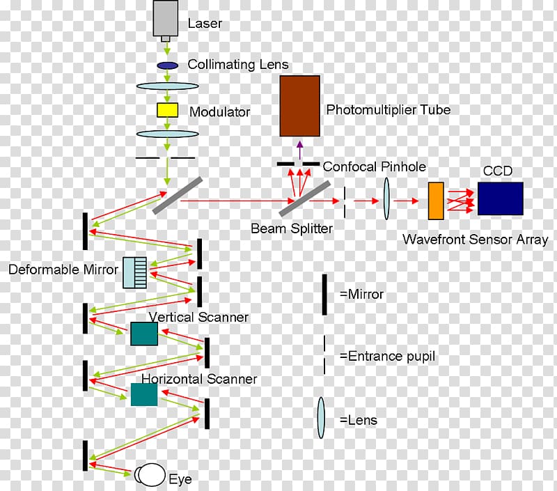 Scanning laser ophthalmoscopy Retina Eye Confocal microscopy, Eye transparent background PNG clipart