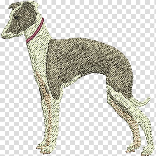 Spanish Greyhound Italian Greyhound Whippet Sloughi Italian