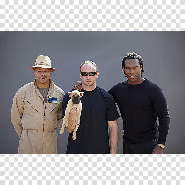 Presa Canario Puppy Dobermann Sanders Kennels Breeder, puppy transparent background PNG clipart