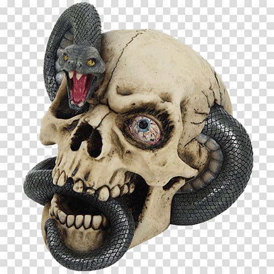 Human skull Snake Calavera Black mamba, skull transparent background PNG clipart