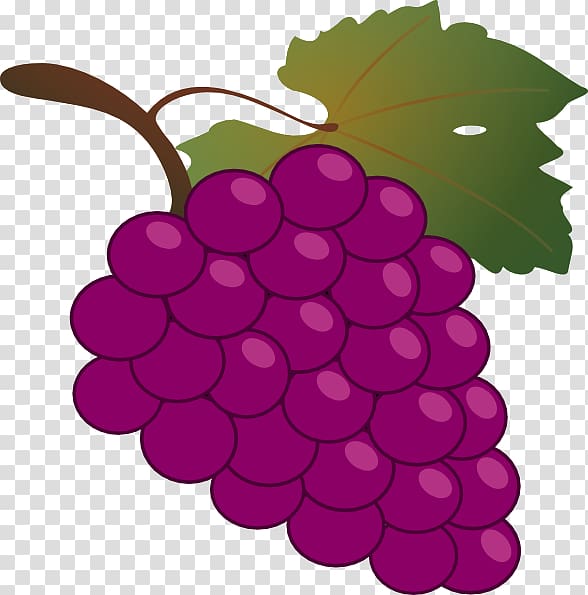 Common Grape Vine Wine Free content , Cartoon Grapes transparent background PNG clipart
