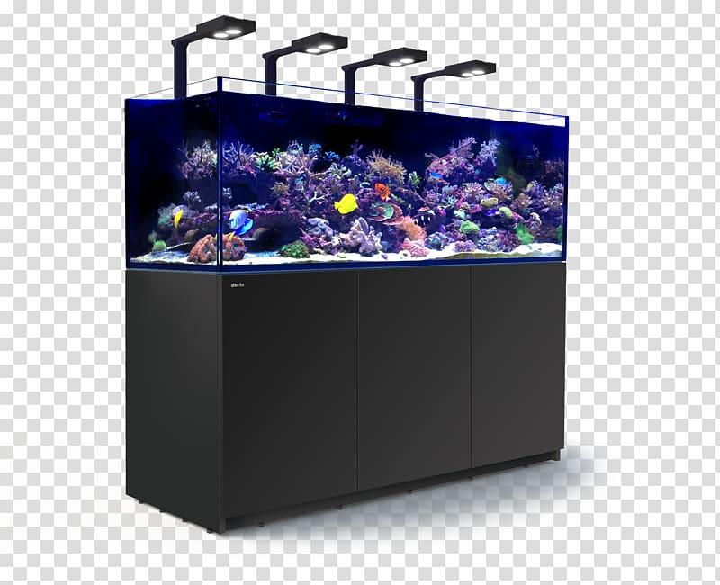 Red Sea REEFER Peninsula Reef aquarium, sea coral transparent background PNG clipart