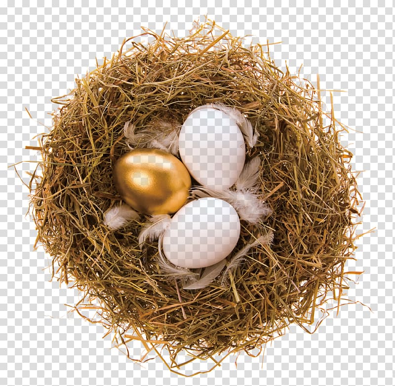 Bald Eagle Bird nest Bird nest Egg, Golden Nest Egg transparent background PNG clipart