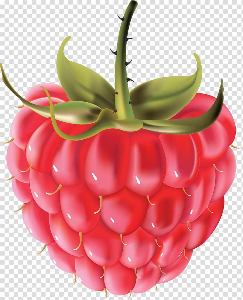 Raspberry , Rraspberry transparent background PNG clipart