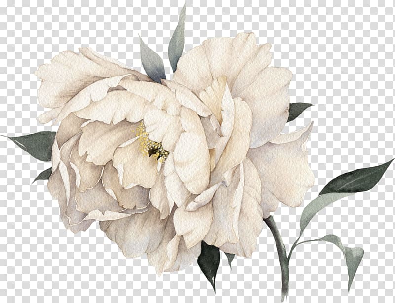white peony flower illustration, Chanel No. 5 Coco Mademoiselle Perfume, Light pink peony flowers transparent background PNG clipart
