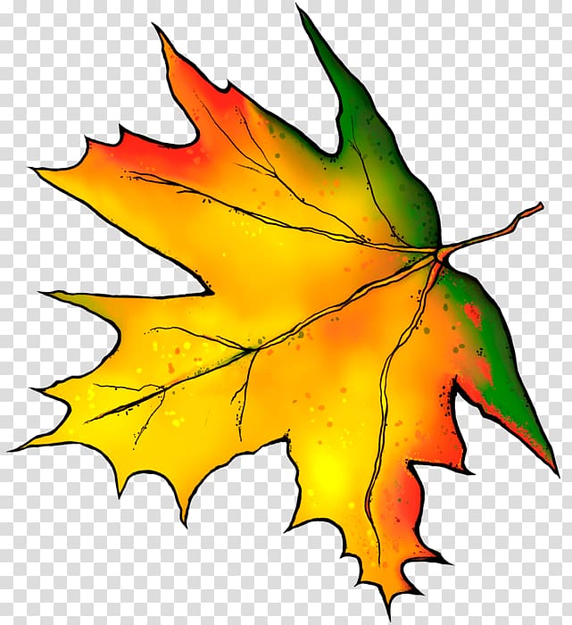 Autumn Leaves Autumn leaf color Maple leaf, autumn leaves transparent background PNG clipart