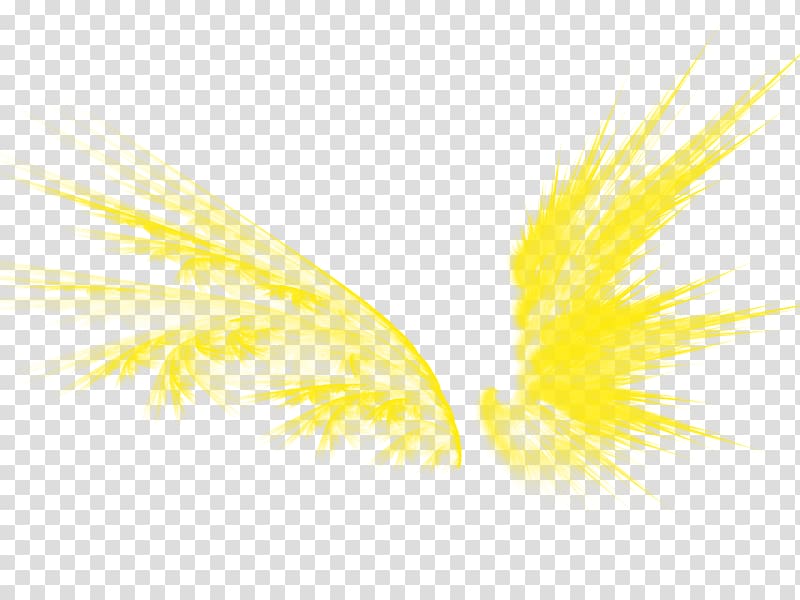 Graphic design Yellow Pattern, Golden wings transparent background PNG clipart