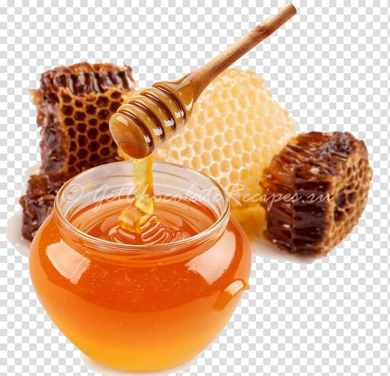 Honey Bee Sweetness, honey transparent background PNG clipart