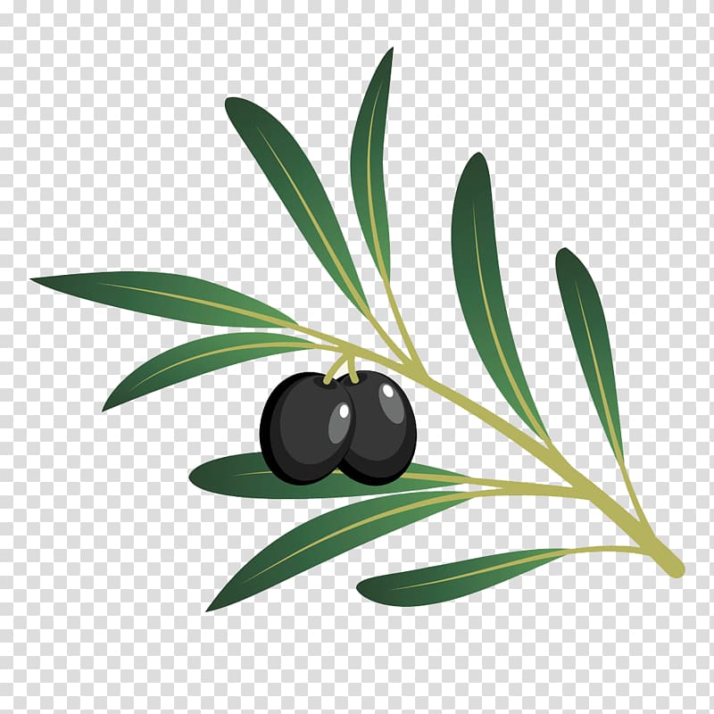 Olive oil Cartoon, Cartoon black olives transparent background PNG clipart