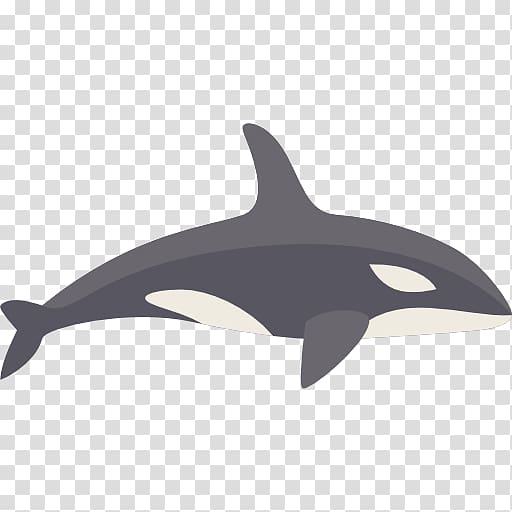Dolphin Killer whale Animal Icon, whale transparent background PNG clipart