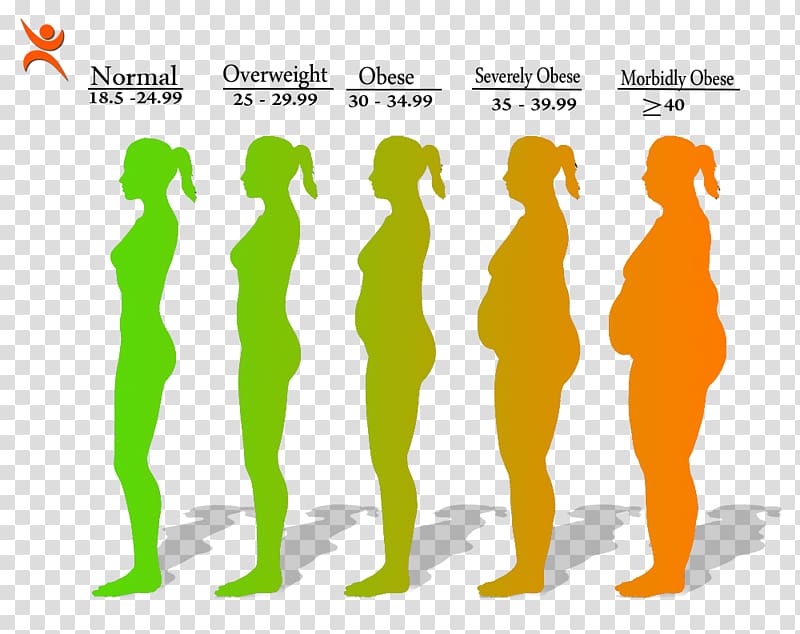 Obesity Body mass index Health Disease Weight, fat man transparent background PNG clipart