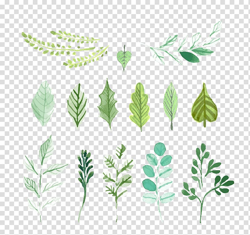 assorted-color leaves illustration, Leaf Green Painting, Leaves transparent background PNG clipart