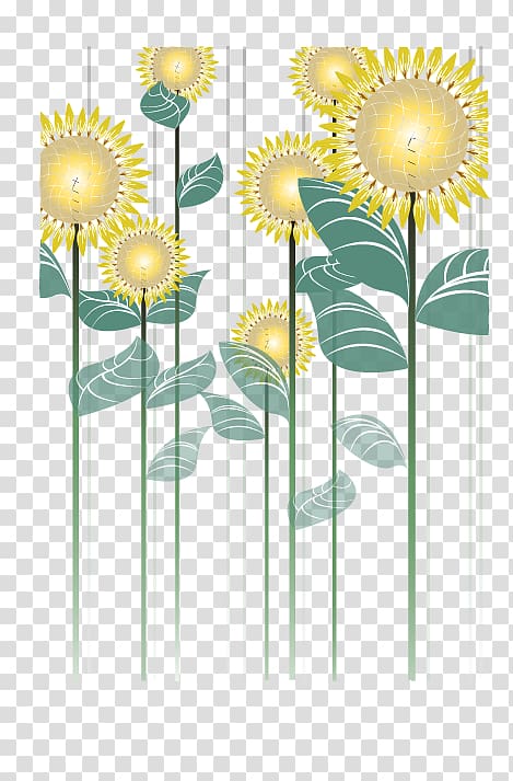 Common sunflower Cut flowers Floral design, sunflower transparent background PNG clipart