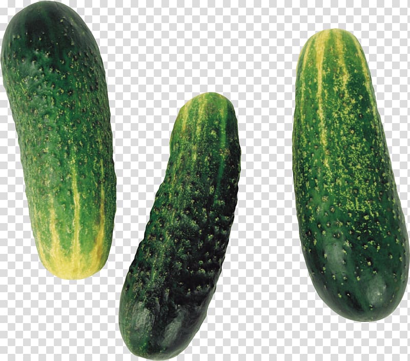 Cucumber Fruit Vegetable , Cucumbers transparent background PNG clipart