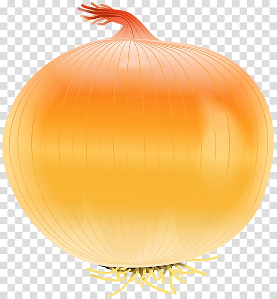 Onion , Yellow onion transparent background PNG clipart