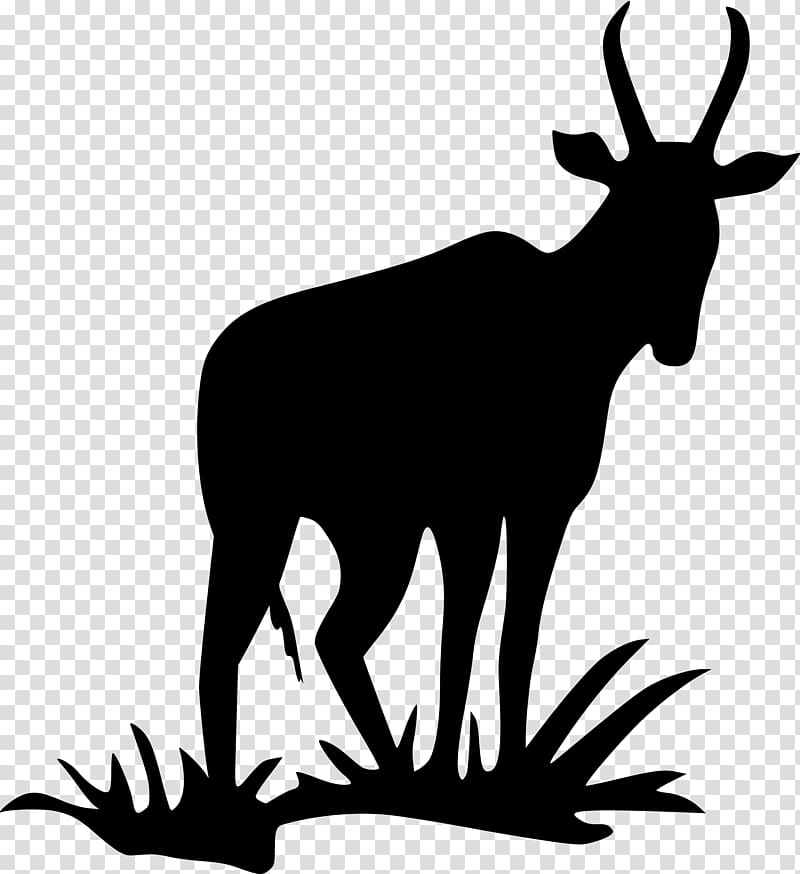 Antelope Pronghorn Deer Impala Silhouette, antelope transparent background PNG clipart