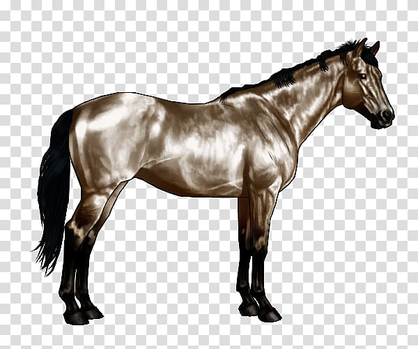 American Paint Horse American Quarter Horse Roan Equine coat color Pinto horse, Fjord Horse transparent background PNG clipart