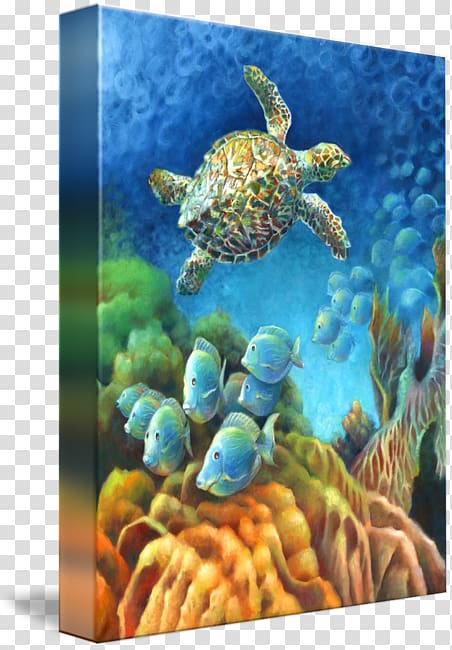 Loggerhead sea turtle Coral reef fish Underwater, Hawksbill Sea Turtle transparent background PNG clipart