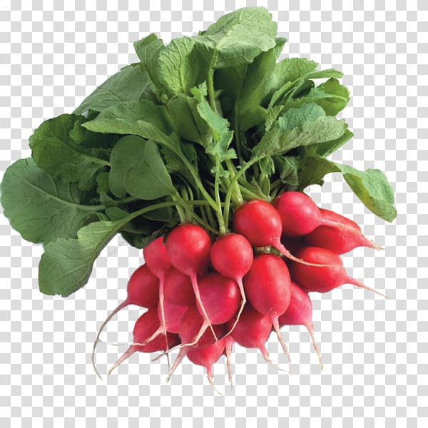 Chard Spring greens Food Turnip Radish, pepers transparent background PNG clipart