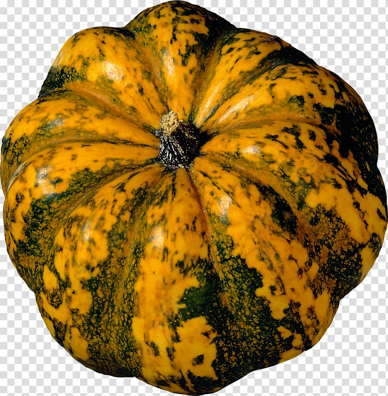 Pattypan squash Pumpkin Winter squash Kabocha Pork loin, pumpkin transparent background PNG clipart