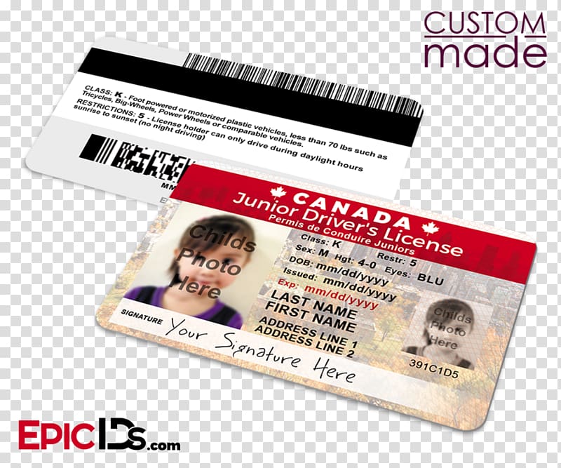 Dwight Schrute Jim Halpert Pam Beesly Dunder Mifflin Identity document, Canada\'s Worst Driver transparent background PNG clipart