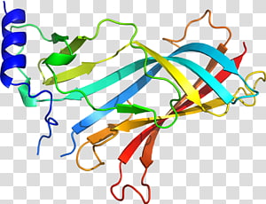 Line Point Organism , line transparent background PNG clipart thumbnail