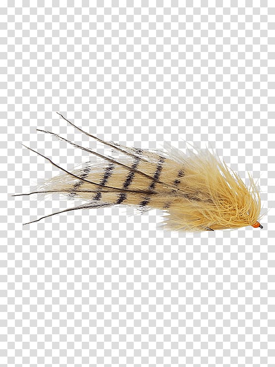 Magazine Holly Flies Fly fishing Feather issuu, Mount Holly Springs transparent background PNG clipart