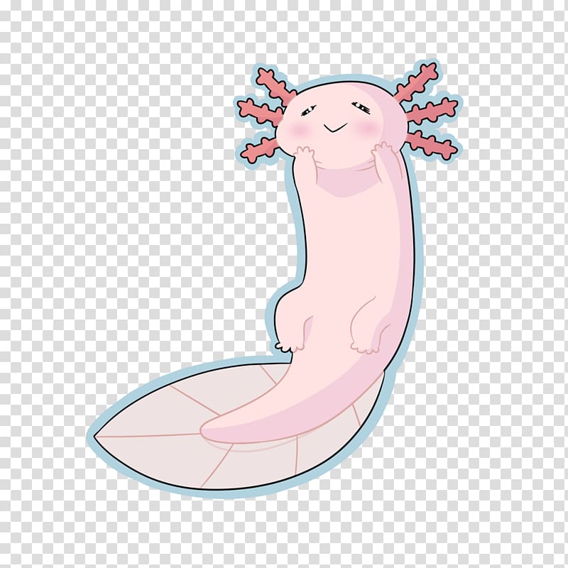 Axolotl Drawing , flip flops transparent background PNG clipart