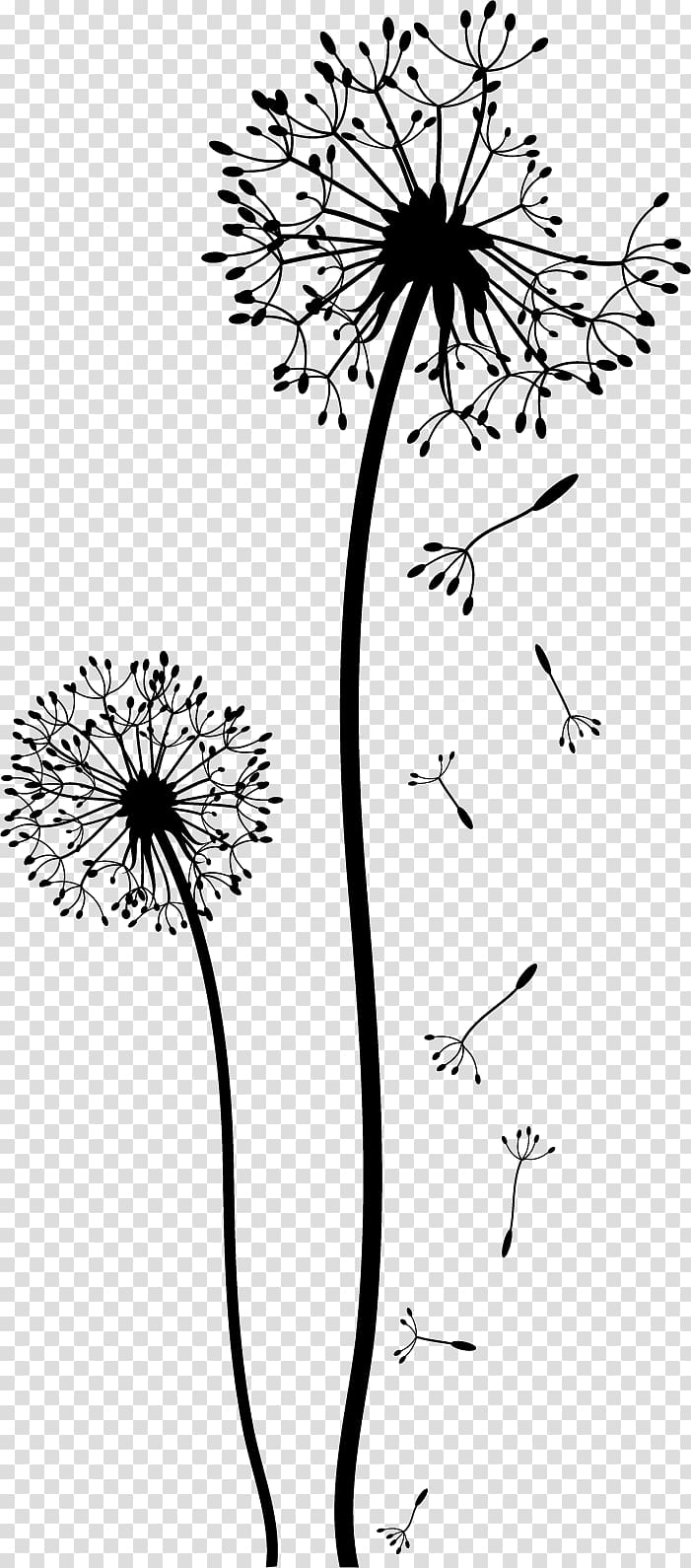 Dandelion Drawing Black and white , flower wall transparent background PNG clipart