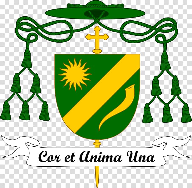 Roman Catholic Diocese of Orange Catholic Church Archbishop, excellency transparent background PNG clipart