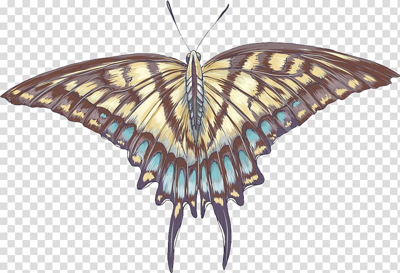 Monarch butterfly Moth, Creative Butterfly transparent background PNG clipart