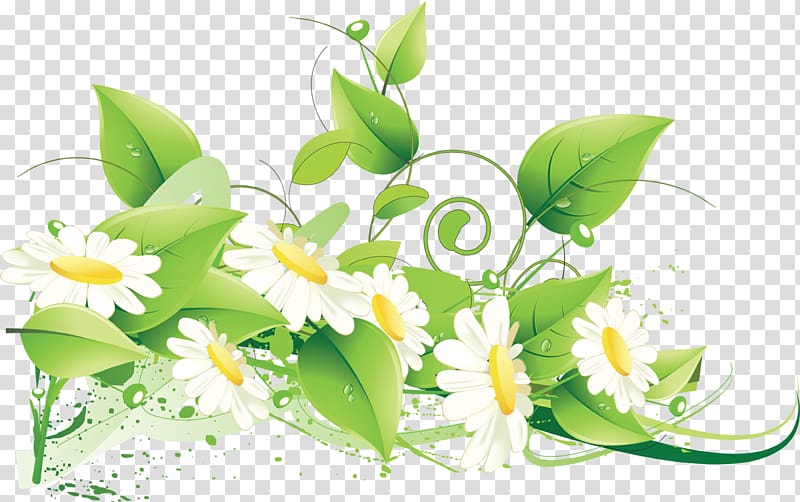 Flower Floral design , camomile transparent background PNG clipart