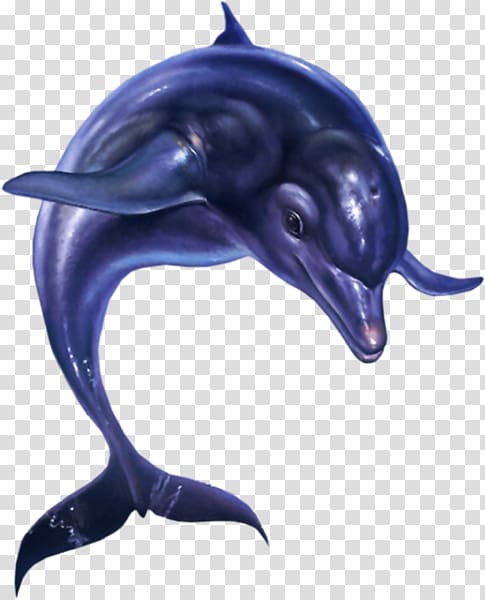 Ecco the Dolphin: Defender of the Future Ecco: The Tides of Time Streets of Rage 2 Sega 3D Classics Collection, dolphin transparent background PNG clipart