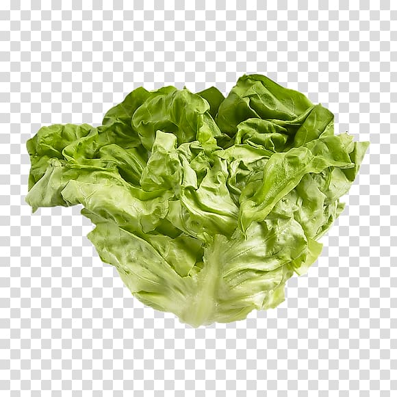 Romaine lettuce Cabbages Glucosinolate Spring greens Kale, kale transparent background PNG clipart