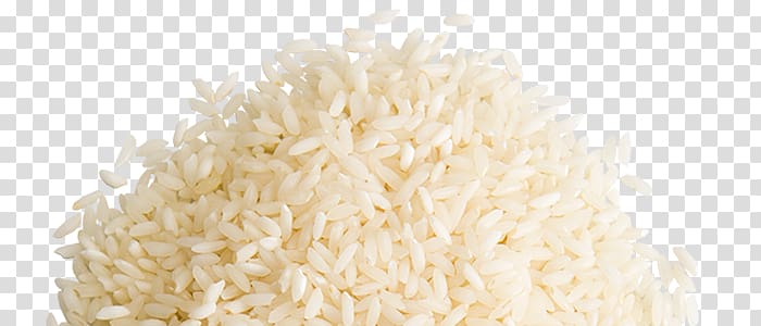 Rice transparent background PNG clipart