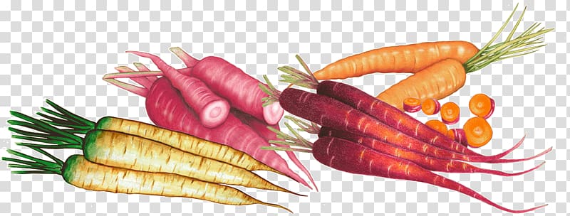 Carrot Natural foods Vegetarian cuisine Local food, carrot transparent background PNG clipart