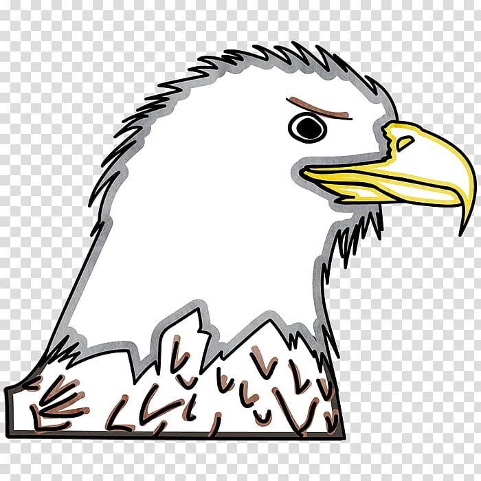 Bald Eagle Adobe Flash Player Adobe Captivate Library, bald eagles head transparent background PNG clipart