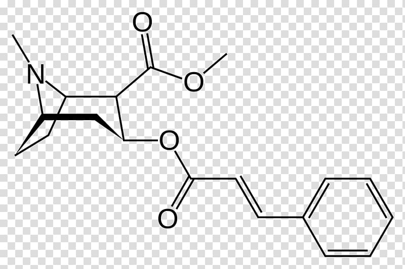 Methylecgonine cinnamate Cocaine Tropane alkaloid Erythroxylum coca Benzoylecgonine, others transparent background PNG clipart