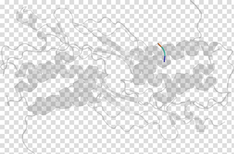 Line , design transparent background PNG clipart | HiClipart