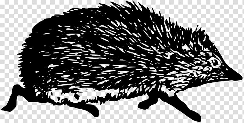 Hedgehog Black and white, hedgehog transparent background PNG clipart