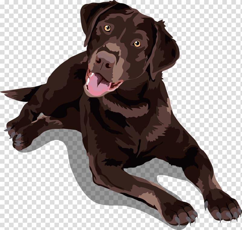 Labrador Retriever Chinese Crested Dog Puppy Dog breed German Shepherd, lab transparent background PNG clipart