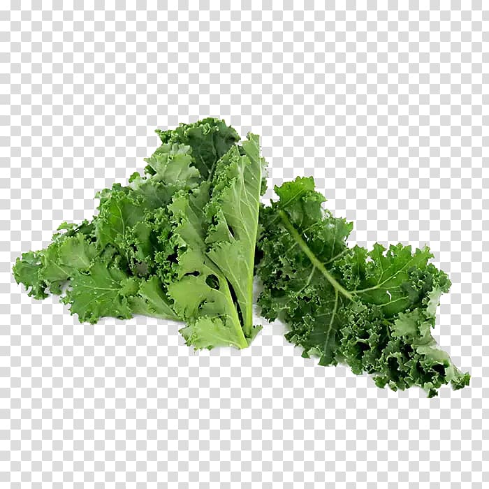 Kale Romaine lettuce Broccoli Vegetable Vegetarian cuisine, Kale transparent background PNG clipart