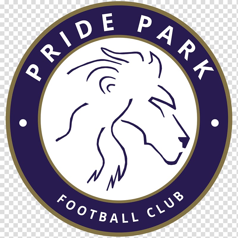 Business United States Pride Park Stadium Art Zinc, girl football transparent background PNG clipart