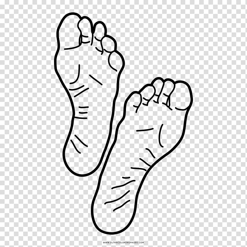 Thumb Foot Drawing Coloring book, book transparent background PNG clipart