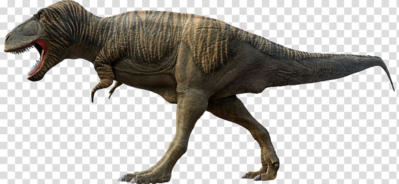 Tyrannosaurus Yutyrannus Dinosaur Park Moab Giants, t-rex transparent background PNG clipart